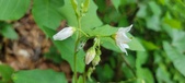 Enlarge photo 34