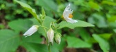 Enlarge photo 35