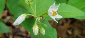 Enlarge photo 36