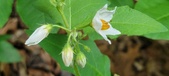 Enlarge photo 37