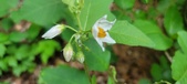 Enlarge photo 38