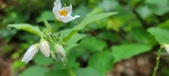 Enlarge photo 39