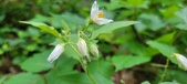 Enlarge photo 40