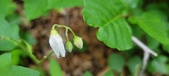 Enlarge photo 42