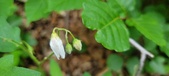 Enlarge photo 43