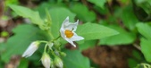 Enlarge photo 45