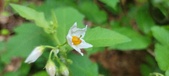 Enlarge photo 46
