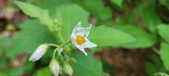 Enlarge photo 47