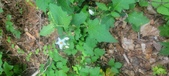 Enlarge photo 158
