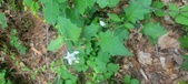 Enlarge photo 159