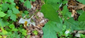 Enlarge photo 155
