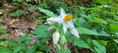 Enlarge photo 156