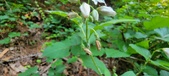 Enlarge photo 157