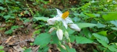 Enlarge photo 160