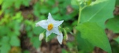 Enlarge photo 152