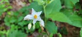 Enlarge photo 153