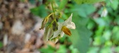 Enlarge photo 161