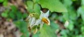 Enlarge photo 151