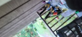Enlarge photo 154
