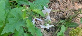 Enlarge photo 48