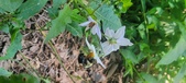 Enlarge photo 49