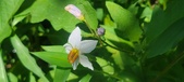 Enlarge photo 51