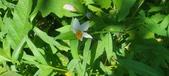 Enlarge photo 53
