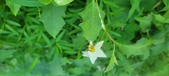 Enlarge photo 54