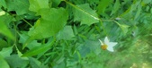 Enlarge photo 55