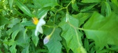 Enlarge photo 57