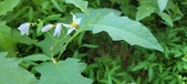 Enlarge photo 67