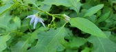 Enlarge photo 73