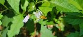 Enlarge photo 83