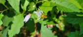Enlarge photo 84