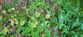 Enlarge photo 87
