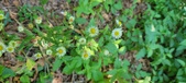 Enlarge photo 89
