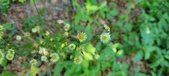 Enlarge photo 90