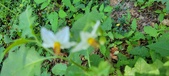 Enlarge photo 91
