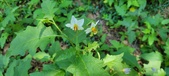 Enlarge photo 94