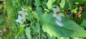 Enlarge photo 95