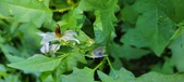 Enlarge photo 97