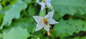 Enlarge photo 99