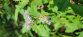 Enlarge photo 102