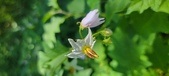 Enlarge photo 103