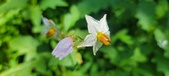 Enlarge photo 107