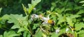 Enlarge photo 111