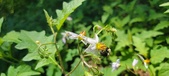 Enlarge photo 112