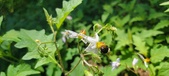 Enlarge photo 113