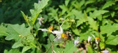 Enlarge photo 115