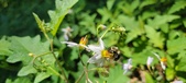 Enlarge photo 116